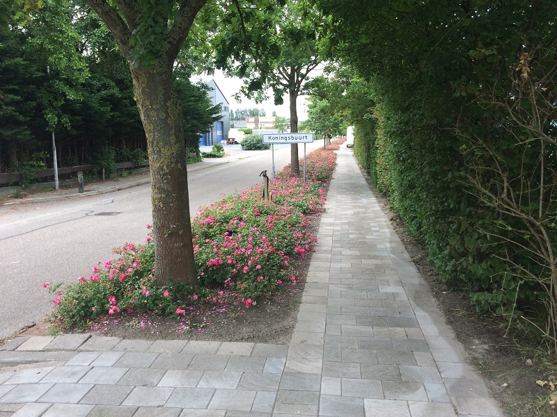 Voetpad langs Oude Trekweg in ere hersteld